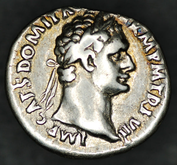 Domitian. Denarius. AD81-96
