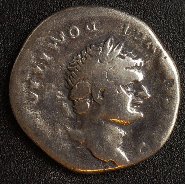 Domitian. Denarius. Pegasus. AD69-96