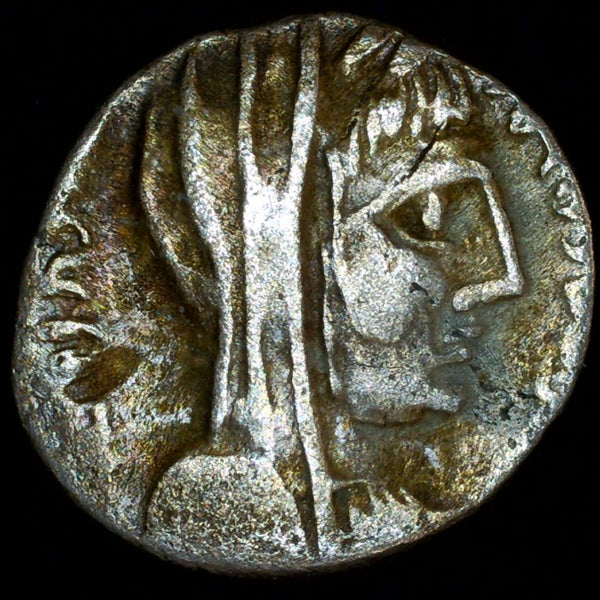 Nabatean Kingdom. Rabbel II (AD 70-106). Silver Drachm