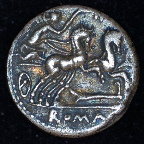 Rome Republic. Denarius. M. Cipius. 115-114BC