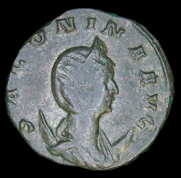 Salonina. Antoninianus. AD262-3