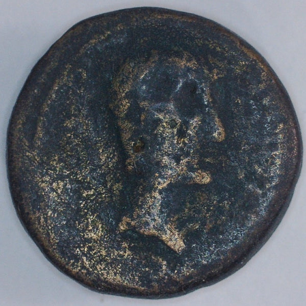 Cyprus. Drusus, AE 19.5mm, AD22/3