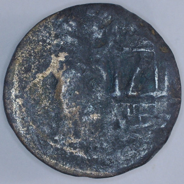 Cyprus. Drusus, AE 19.5mm, AD22/3