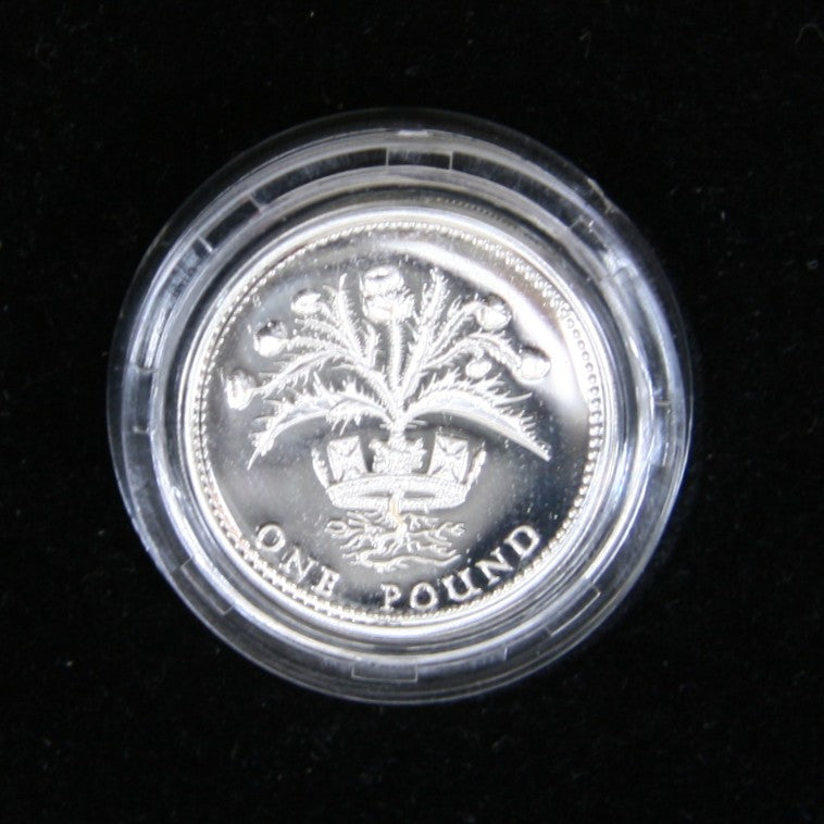 Elizabeth II. Silver proof piedfort one pound. 1989.