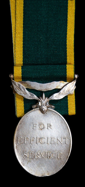Territorial Efficiency Medal. (India) Grant.