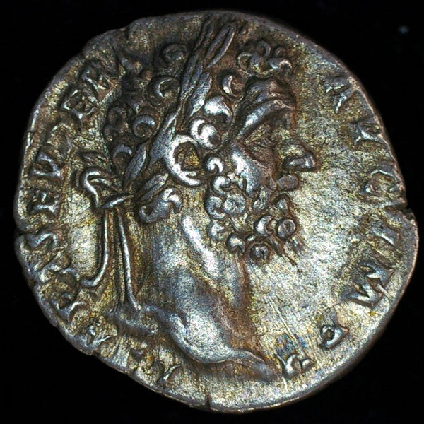 Septimius Severus. Denarius. AD195