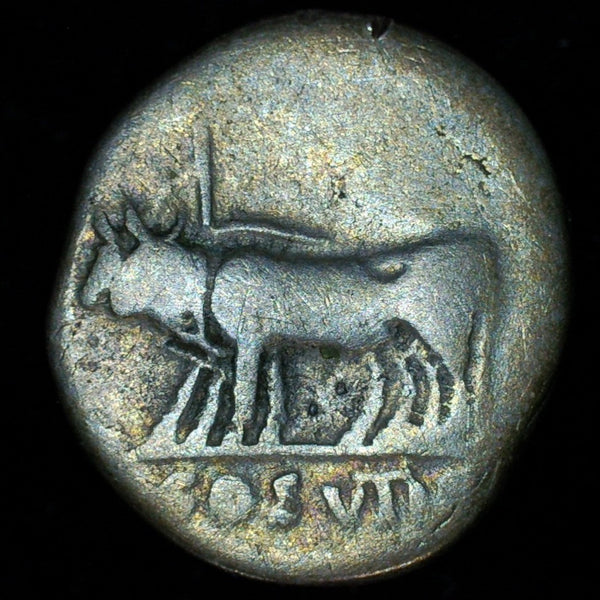 Vespasian. Denarius. AD69-79