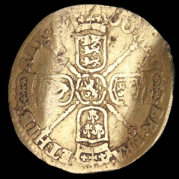 William III. Half Guinea. 1700.