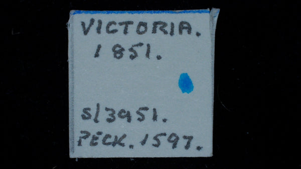 Victoria. Half Farthing. 1851