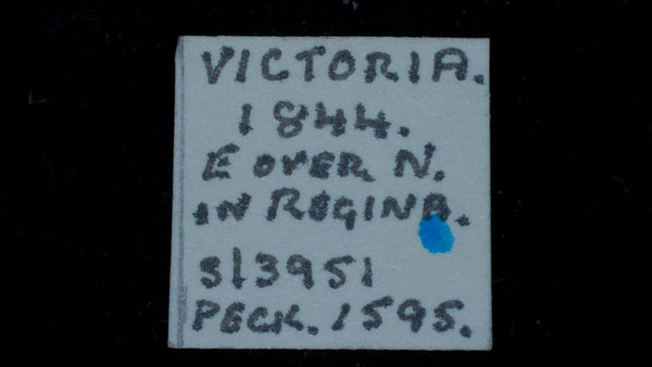 Victoria. Half Farthing. 1844. E/N in Regina.
