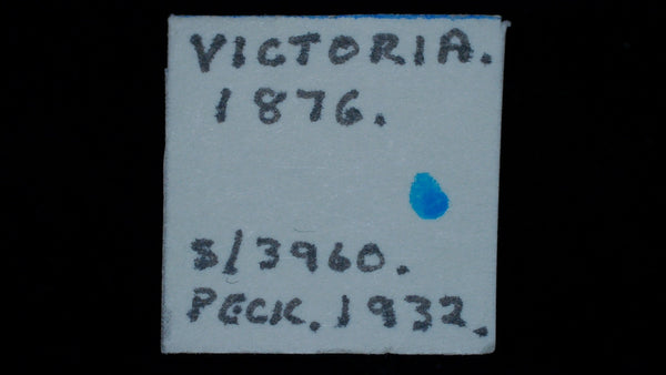 Victoria. Third Farthing. 1876