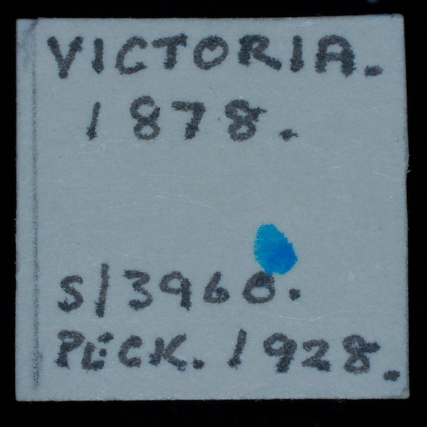 Victoria. Third Farthing. 1878