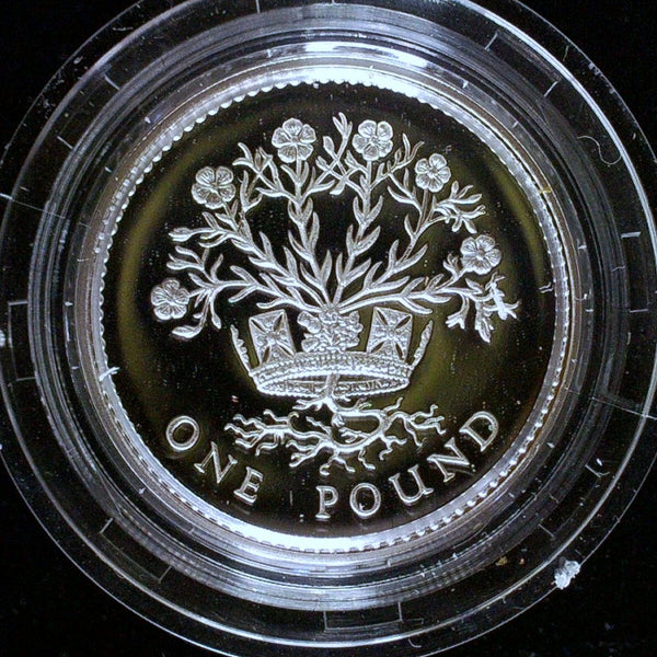 Royal Mint. Silver proof One Pound coins. A selection