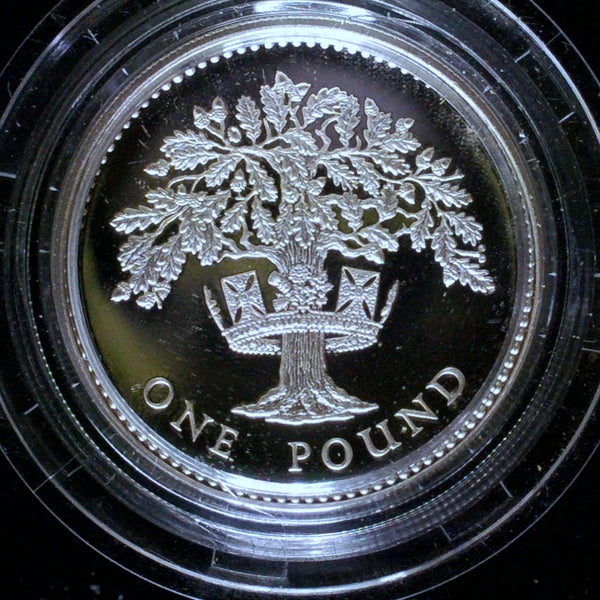 Royal Mint. Silver proof One Pound coins. A selection