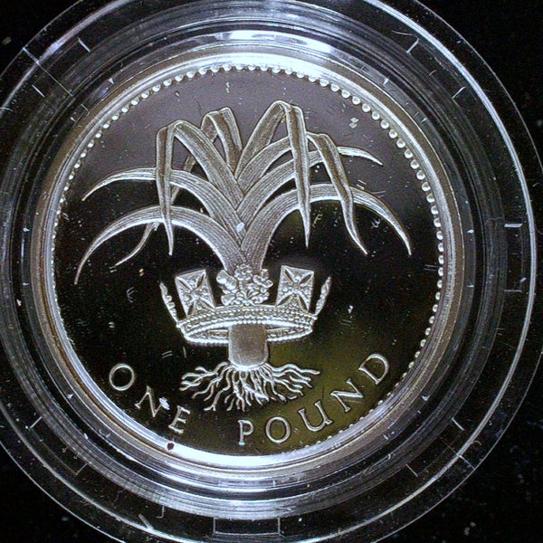 Royal Mint. Silver proof One Pound coins. A selection