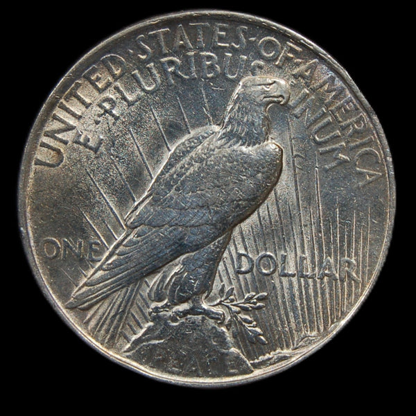 USA. Peace Dollar. 1921