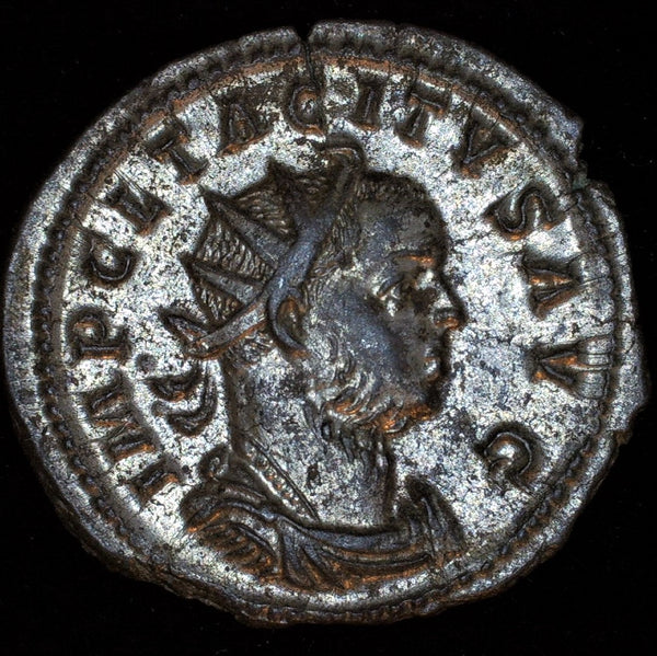Tacitus. 275-276AD, AE Antoninianus