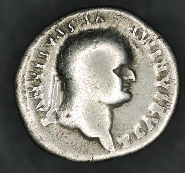 Titus. Denarius. AD79-81