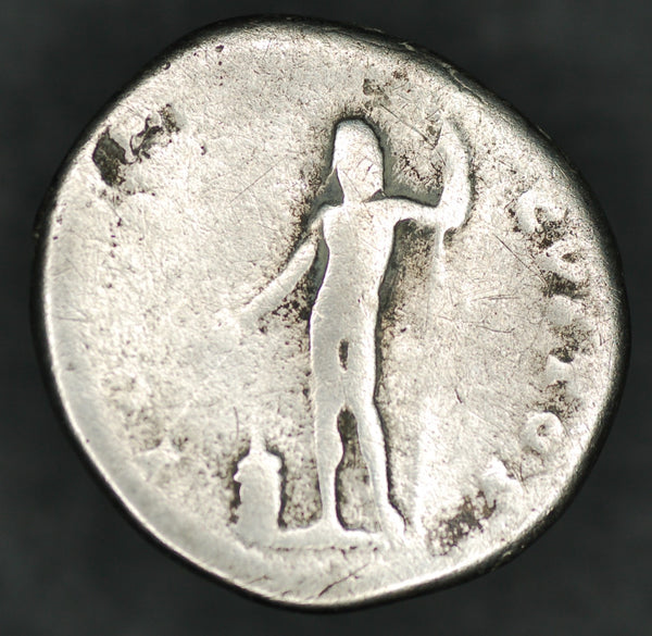 Titus. Denarius. AD79-81