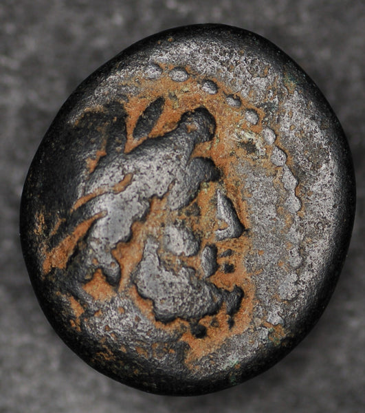 Greece. Phonecia. AE20mm. Circa 100BC