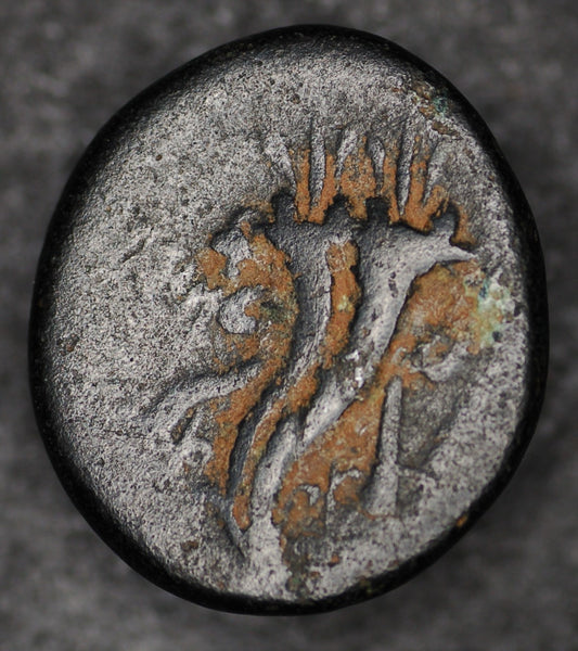 Greece. Phonecia. AE20mm. Circa 100BC