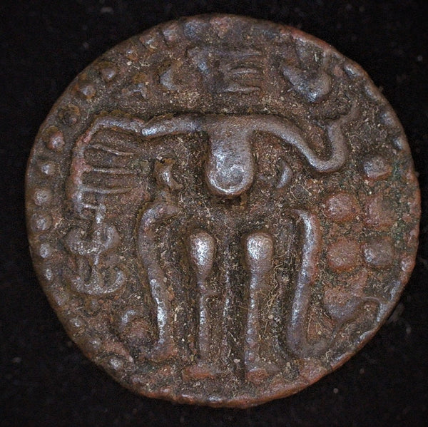 SRI LANKA, Singhalese kingdom: Sahasa Malla (1200-02) AE kahavanu.