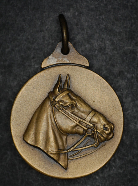 Equestrian medal. British Horse Society, AE medal