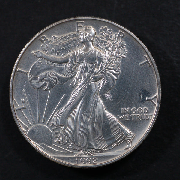 USA. American Eagle 1 Dollar. One ounce fine silver